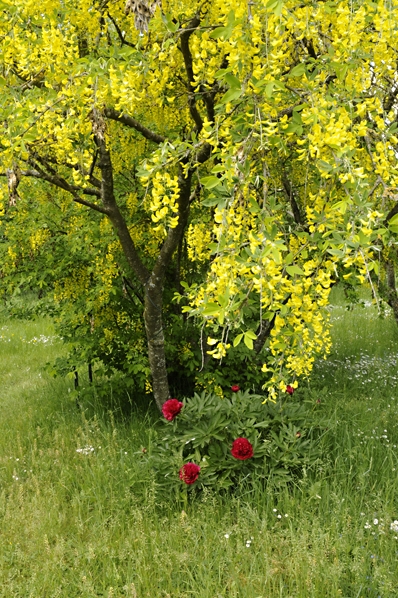 Sonja Åkessons park, Havdhem, Gotland