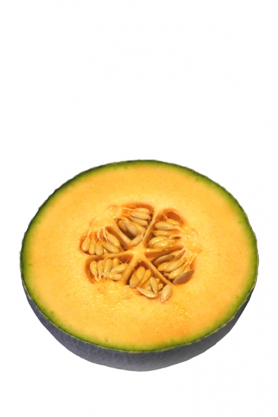 Nätmelon, Cucumis melo, melon