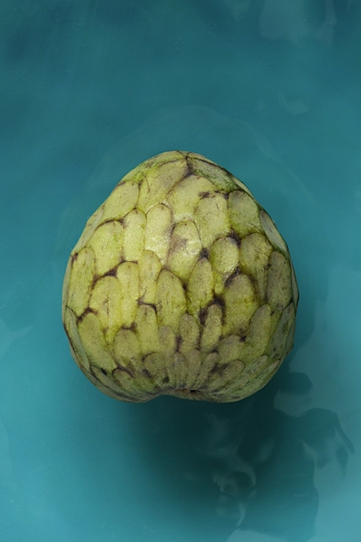 Cherimoya, Annona cherimolia