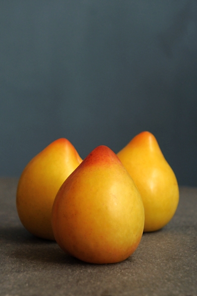 Citronplommon, plommon, Prunus domestica 