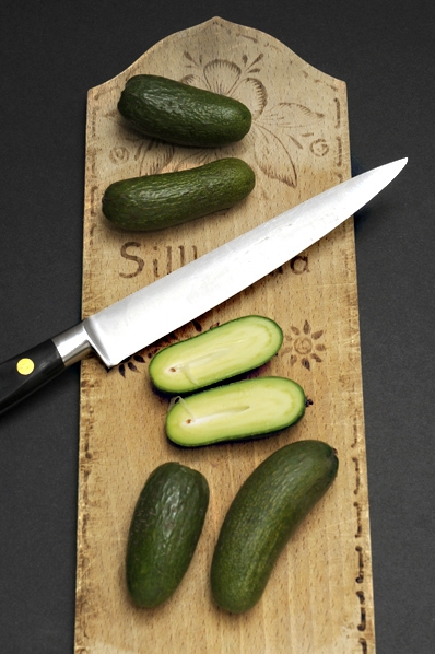 Miniavokado, avokado, avocado, Persea americana