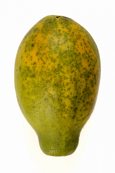 Papaya, Carica papaya