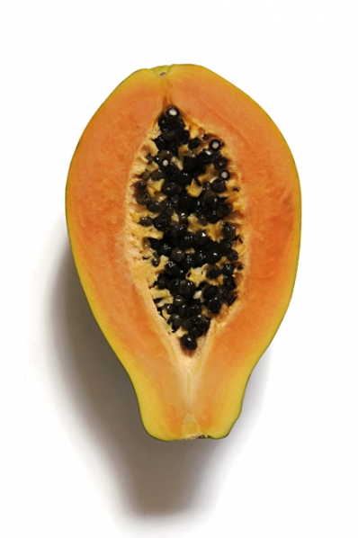 Papaya, Carica papaya