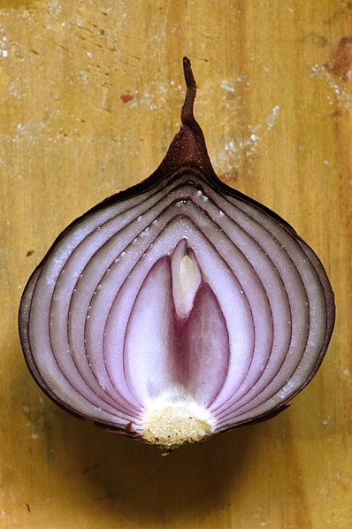 Rödlök, Allium cepa