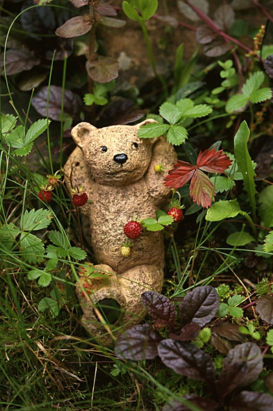 Trädgårdsnalle, nalle