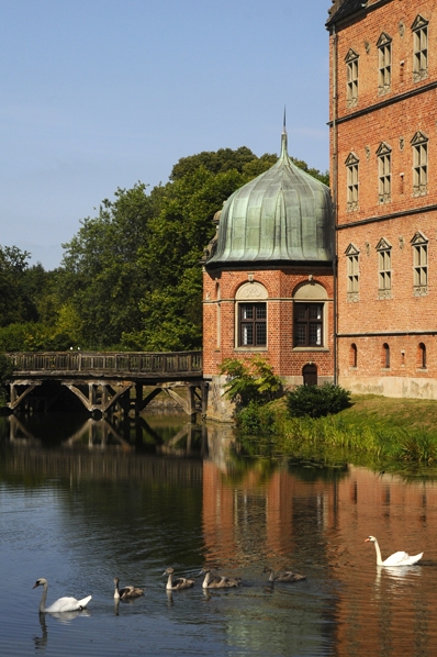 Vallö slott, Danmark, svanar, svanunge, svanungar