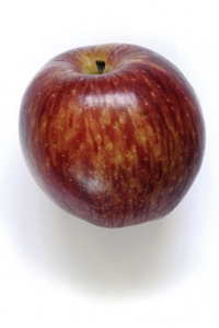 Äpple, Malus domestica