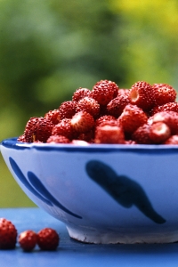 Smultron, Fragaria vesca