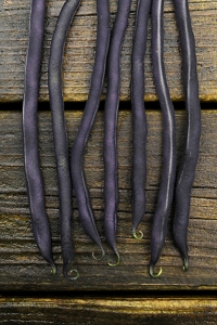 Störbrytböna 'Carminat', Phaseolus vulgaris