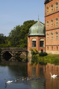 Vallö slott, Danmark, svanar, svanunge, svanungar