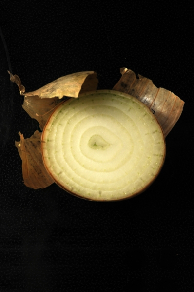 Gul lök, Allium cepa