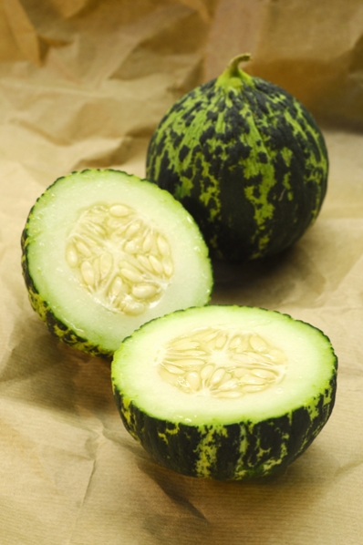 Gurkväxt, Cucumis, Ajjor