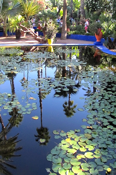 Marrakech, Majorelleträdgården, majorelle garden, yves saint laurent
