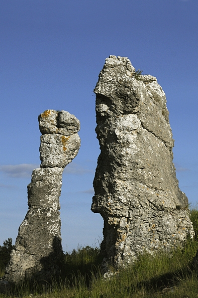 Klinteklinten, rauk, raukar, Gotland