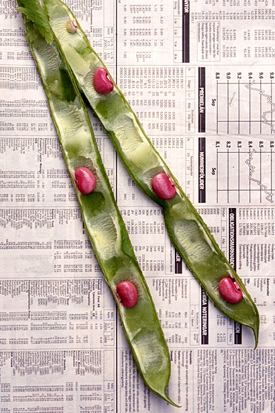 Rosenböna, Phaseolus coccineus