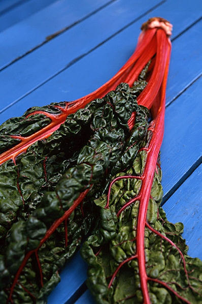 Mangold, Beta vulgaris, Mangold-gruppen