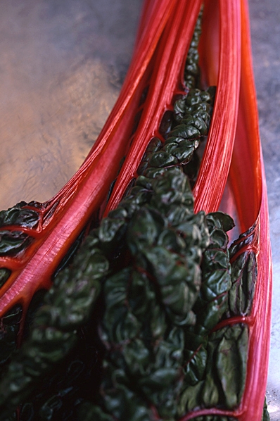 Mangold, Beta vulgaris, Mangold-gruppen