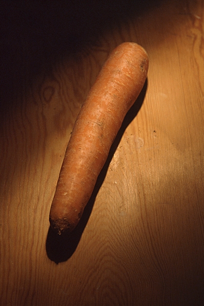 Morot, Daucus carota ssp. sativus