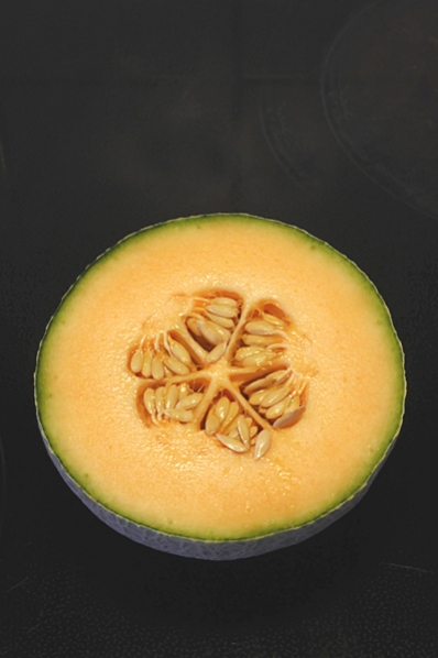 Nätmelon, Cucumis melo, melon