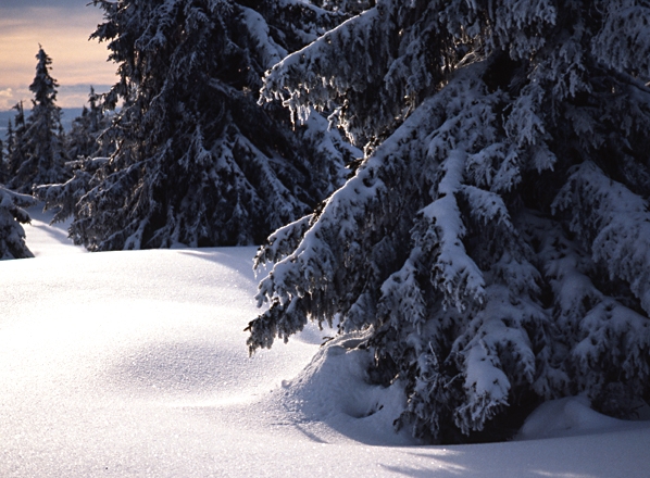 Vinter, Norge, vinterbild, snö