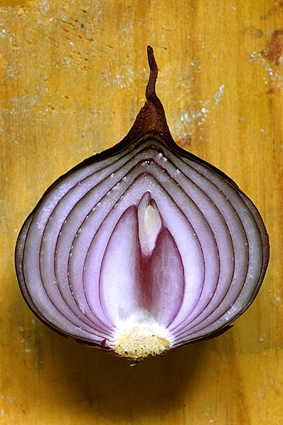 Rödlök, Allium cepa