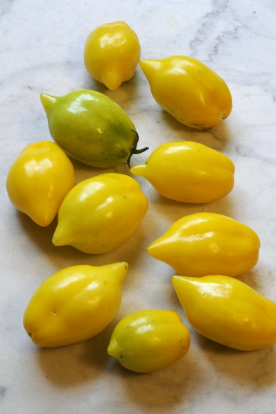 Tomat 'Lemon Tree', Solanum lycopersicum
