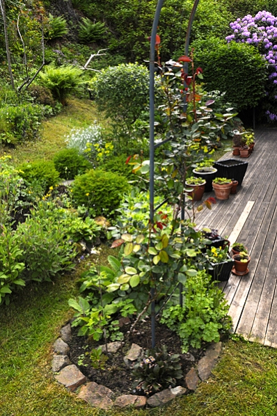 Min trädgård