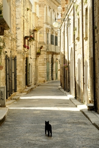 Putignano, Apulien, Italien, Puglia