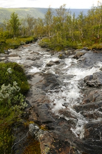 Fjällbäck, Telemark, Norge, Vattenfall