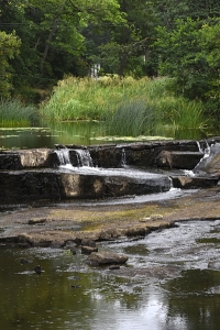 Forshall, Västergötland