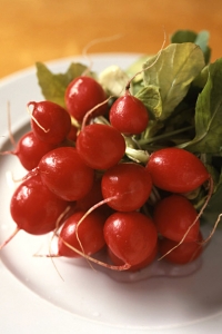 Rädisor, Raphanus sativus var. sativus